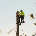 Camarillo's Tree Service